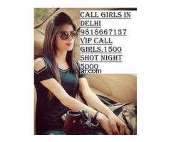 Call Girls Delhi Mayur Vihar ????9818667137 Call Girls Service In 24×7 Available